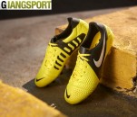 Giày sân cỏ tự nhiên Nike CTR360 FG