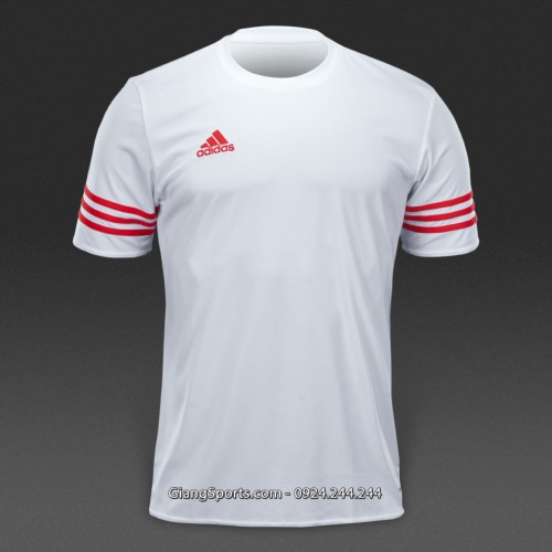 Áo thi đấu ko logo Adidas Entrada các màu (Đặt may)